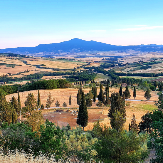 Die unentdeckten Weine Italiens