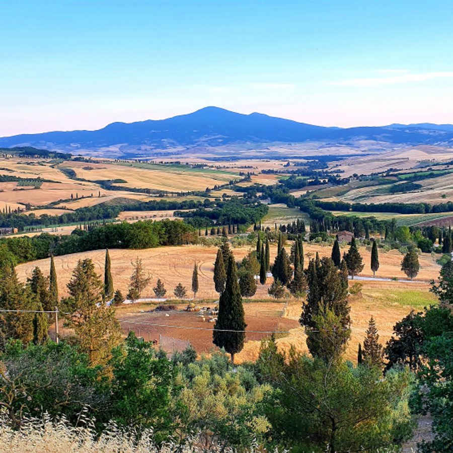 Die unentdeckten Weine Italiens