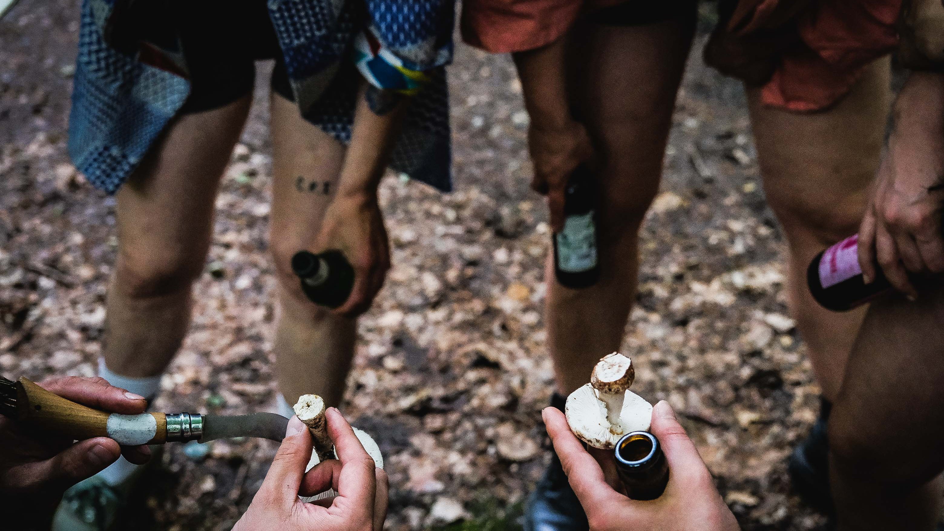 Waldgang mit Localbier