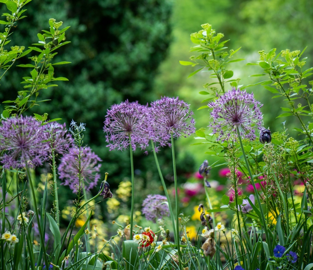 Spazieren im Botanische Garten Augsburg
