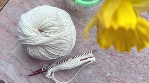 Workshop Strickbasics 1.0