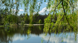 Hiking&New Friends: Liblarer See Edition