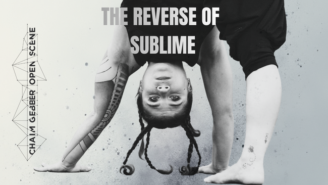 THE REVERSE OF SUBLIME