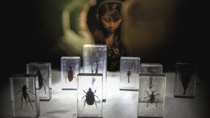 Intercambios - Archiv der aussterbenden Dinge