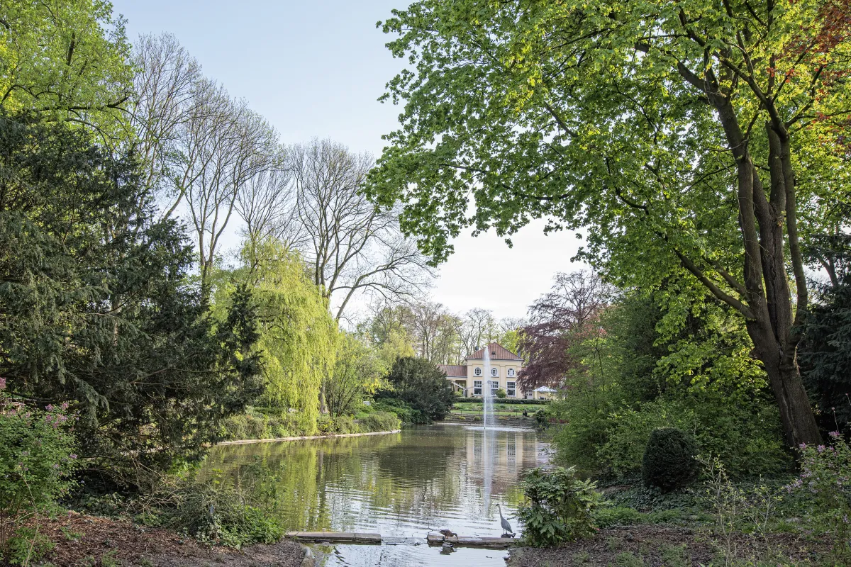 Jubiläum des Uerdinger park run