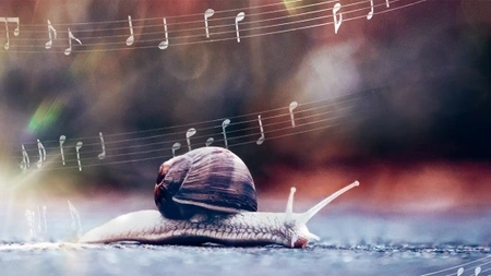 SLOW Festival | Einmalige Klangreise
