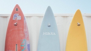 Island Surfvibe Concert