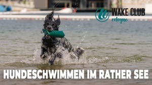 Hundeschwimmen im Rather See