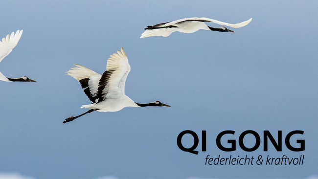 Wochenendseminar Qi Gong