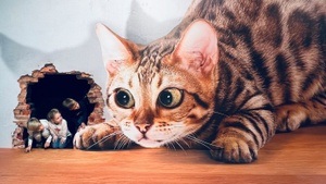 Illusionswelt Ausstellung bei Dresden