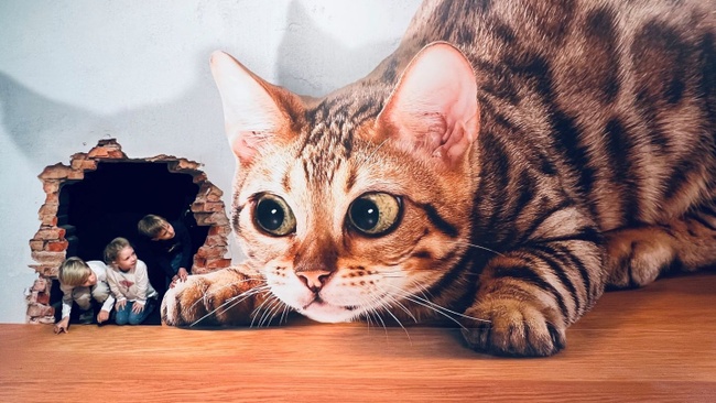 Illusionswelt Ausstellung bei Dresden