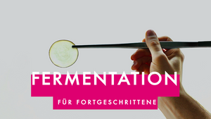 Fermentation für Fortgeschrittene