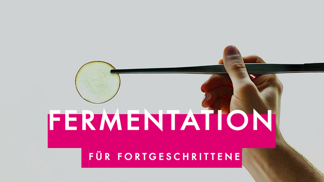 Fermentation für Fortgeschrittene