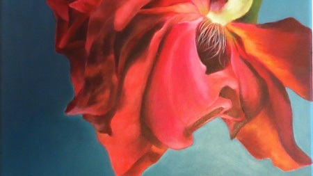 Frauen*FLINTA Malkurs "Blüten im Großformat" 2 Tage