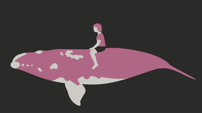 Filmwinter II - "Whale Rider"