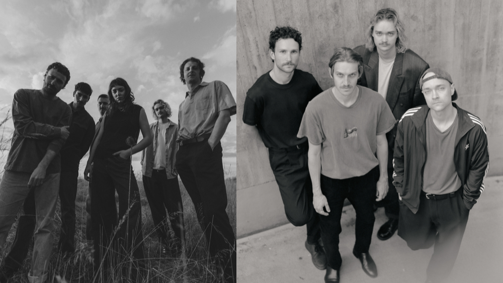 King Pigeon & Clear Coast