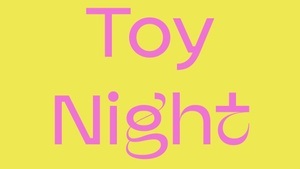 Toy Night- queere Sextoys