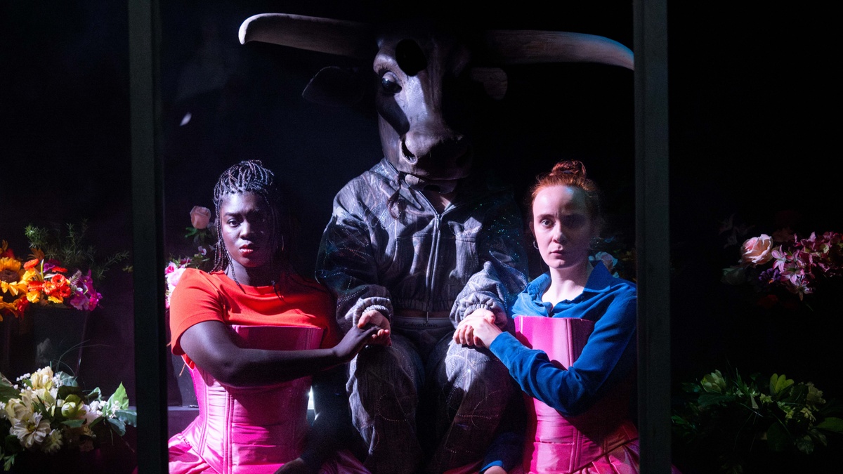 Stella – A Play for Lovers