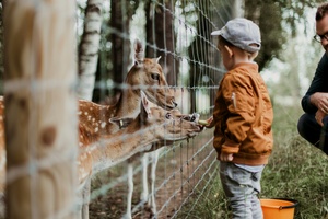 Märchenhafter Zoorundgang für Kinder