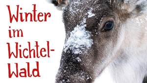Kamishibai: "Winter im Wichtelwald"