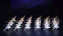 Das Stuttgarter Ballett