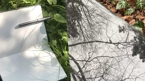 Übergänge – Erinnerung und Natur - Schreibworkshop im exploratorium berlin und auf den Bergmann-Friedhöfen