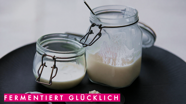 Fermentiert glücklich - Darmgesundheit, Mikrobiom & Fermente Workshop