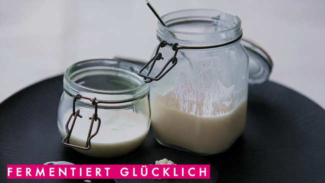 Fermentiert glücklich - Darmgesundheit, Mikrobiom & Fermente Workshop