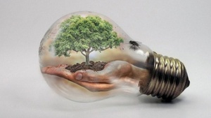 10 Jahre Laudato si' Zeitenwende für Theologie, Mensch und Natur?