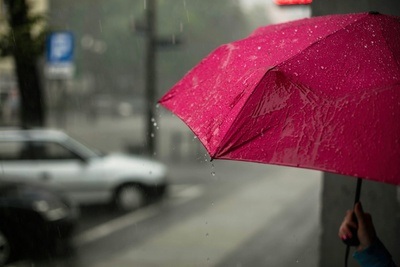 Mannheim und Heidelberg bei Regen: Die 10 besten Indoor-Events & Aktivitäten