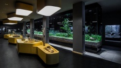 Staatliches Naturhistorisches Museum