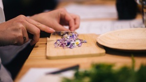 Kräuterwanderung & Workshop Wilde Sommerkräuter