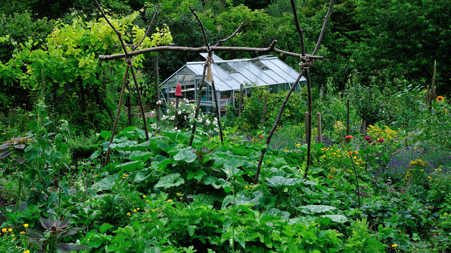Urban Gardening. Der Mitmachgarten der vhs ökostation Gemeinsam gärtnern - gemeinsam ernten