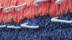 Vernissage "Translating Traditions - Marlen Letetzki & Desire Moheb-Zandi