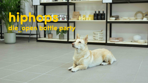 Hiphops - Die_Open Bottle Party