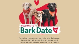 Bark Date - Finde deinen neuen Besten Freund