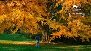 MATINÉE Silent Friend