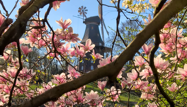 What's happening in May 2025? - Events in Bremen