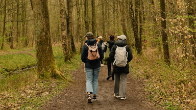 Forest Bathing in Hamburg — Casa Rafaela