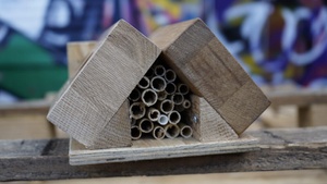 „Bau mit uns Nisthilfen für Wildbienen – Workshop für Groß & Klein“ und Informationsveranstaltung zum Thema Biodiversität im urbanen Raum.