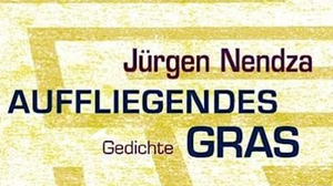 NIMM PLATZ - KÖLNER LITERATURSOMMER MIT JÜRGEN NENDZA