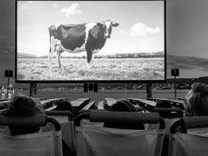 Back to Black - Open Air Kino