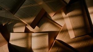 Workshop: Buchbinden mit Secret Belgian Binding