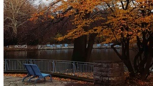 Waldbaden Herbstliebe