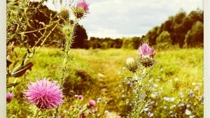 Nature&You: Sonntagmorgen unter Bäumen