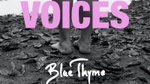 Blue Thyme - VOICES - A last dance! Cover Image