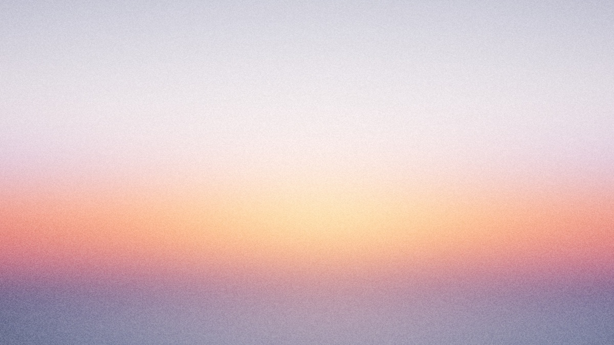 Werkleitz Festival 2026 Früher oder Später