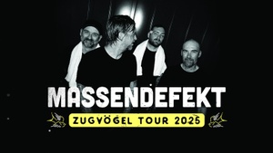 Massendefekt