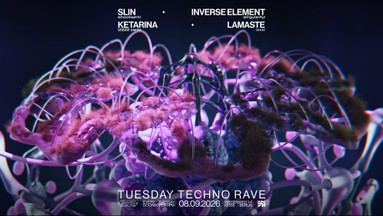 ✦encore.une.fois✦ / TUESDAY TECHNO RAVE