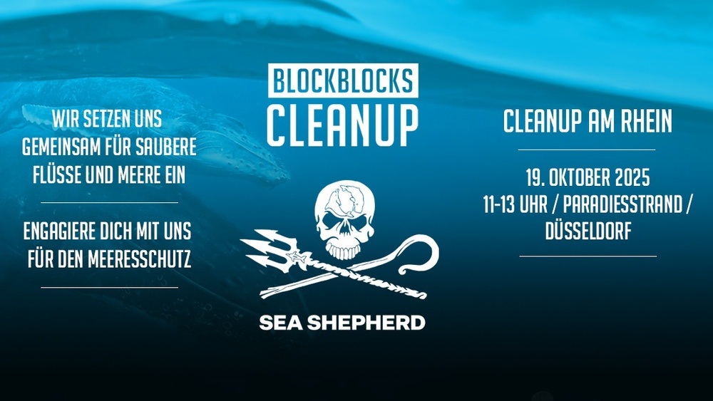 Cleanup am Rhein mit Sea Shepherd